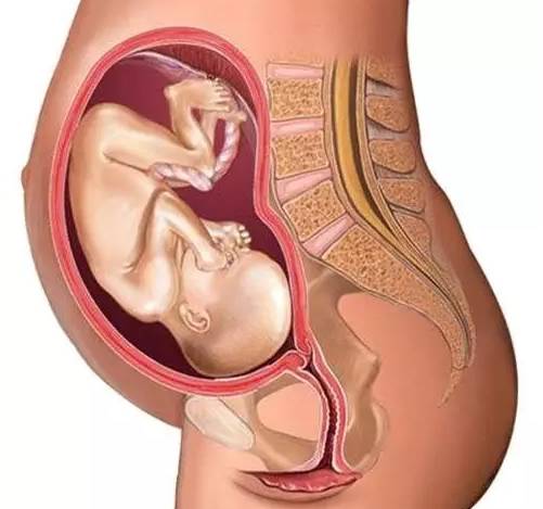 孕妈不知入盆感觉？医生表示：这六个症状告诉你,准备迎接宝宝